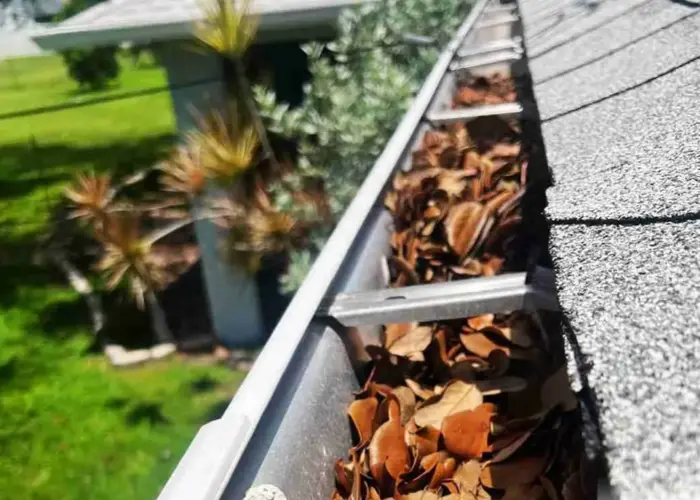 Wilsonville gutter cleaning home page